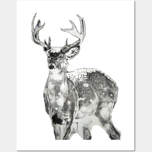 Trophy Buck Wall Art by Shawnsonart